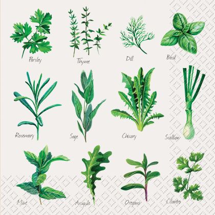 STEWO     Serviette Herb         33x33cm