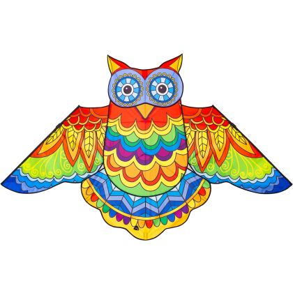 Drachen Jazzy Owl Kite